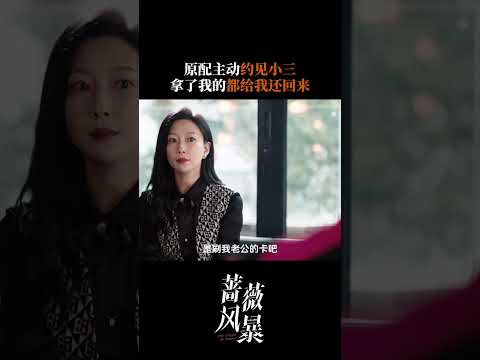 金融专业原配硬刚，杨维希分分钟怼到小三破防 | 蔷薇风暴 The Storm of Roses | 谭卓 高叶 | 爱奇艺华语剧场