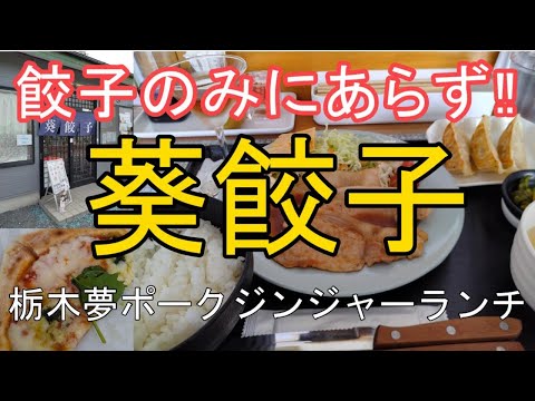 上三川町上郷2092-5【葵餃子】の「とちぎゆめポーク」のポークジンジャー