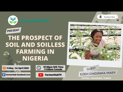 The Prospect of Soil and Soilless Farming in Nigeria