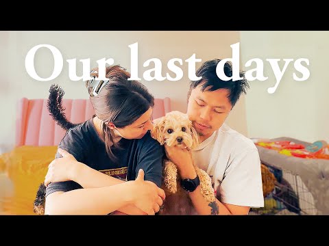 Saying Goodbye to This Little Guy! (Bitter-sweet Vlogmas)