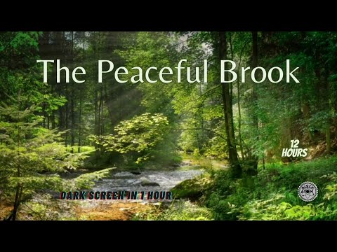 Peaceful Brook & Birdsong ⨀ Relaxing Nature Sounds for Deep Sleep & Relaxation (12 Hours)