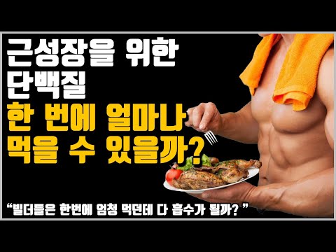 단백질 한 번에 얼마나 먹을 수 있을까?