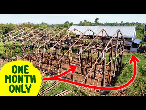 How To Start a Poultry Farm in ONE MONTH