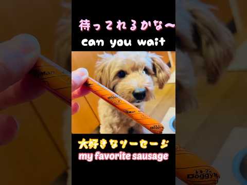 Can you wait until mommy comes? ママが来るまで我慢できるかな？#short