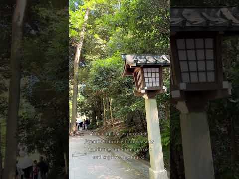 Witness the magic of Japan's ever shifting seasons