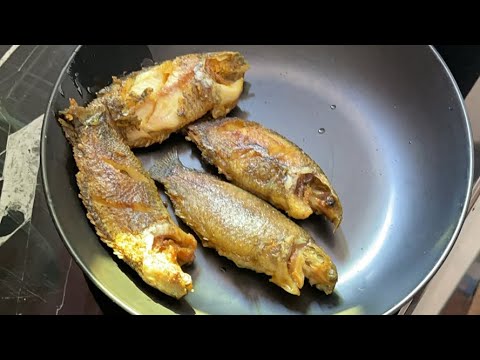 কই মাছ রান্নার রেসিপি❤️ Cooking Video