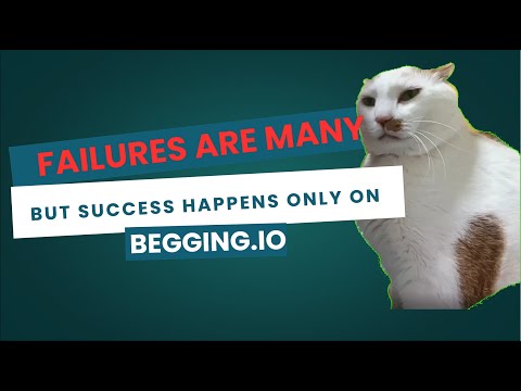 Failures Are Many, but Success Happens Only on Begging.io