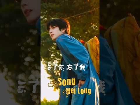 盘点80年代金曲 《忘了你忘了我 》 忘れた、あなたは私を忘れた  swl  宋威龙 #chinesedrama Song Wei Long