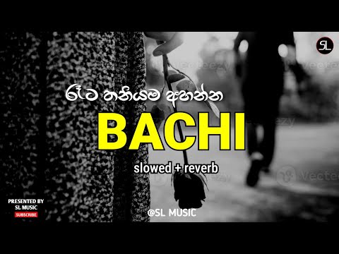 රෑට තනියම අහන්න ( Bachi Susan Best Songs Collection ) slowed + reverb || Trending Songs Playlist 1