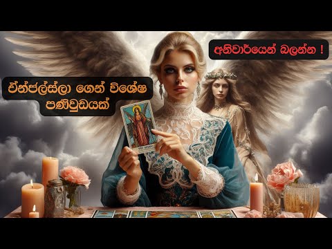 ඒන්ජල්ස්ලා ගෙන් විශේෂ පණිවුඩයක් 💫😇 Sinhala Tarot Reading