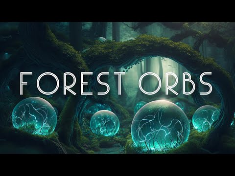 FOREST ORBS | 1 HOUR OF AMBIENT MUSIC AND FOREST AMBIENCE | DEEP FOCUS, RELAXATION, MEDITATION