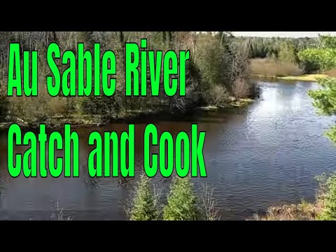 Delicious Trout Catch And Cook On The Scenic Au Sable River In Michigan