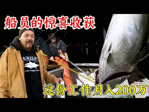 捕魚生死鬥：太猛了，釣到1080磅巨型金槍魚，一個月輕松能賺幾百萬！紀錄片