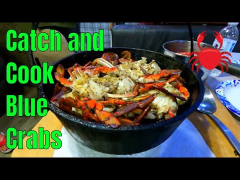 CATCH AND COOK BLUE CRABS AT CAMP - 333 Fish Camp, Florida