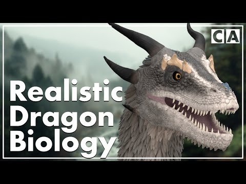 'Draconology' Explained | Dragon Biology