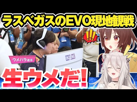 [ENG SUB] Botan & Korone watching EVO2024 live on site [Hololive clip]