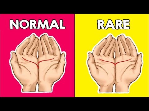 Read Your Palm To Find Out What It Means About You