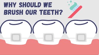 Why do we brush our teeth? Importance of brushing your teeth for kids