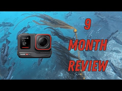 Insta360 Ace Pro Underwater Review - Long Term #freediving #scubadiving #snorkeling