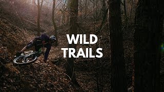 WILD TRAILS