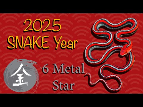 2025 Snake 🐍 Year Predictions 6 METAL STAR #9starki #fiveelements #lunarnewyear2025