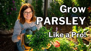 PARSLEY GROWING GUIDE: Seed to Harvest