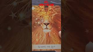 Leo Weekly Reading ~ Jan 6-12, 2025 ~ WAKING THE LION! NOW'S THE TIME  #leo #tarot #youtubeshorts