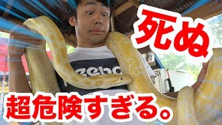 日本一！？死ぬほど危険すぎて誓約書を書く動物園が怖すぎる！！