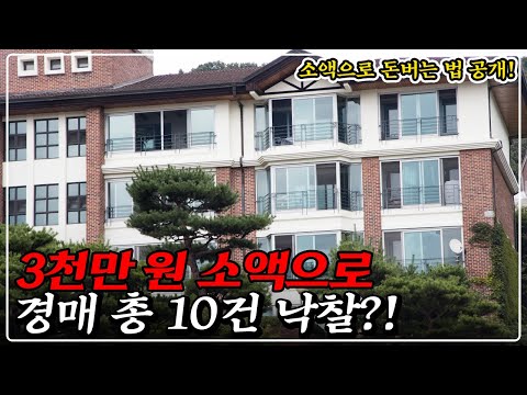 3천만 원으로 아파트 10건 낙찰! 그리고 전부 팔아서 돈 벌었습니다. 소액 경매 비법 공개!