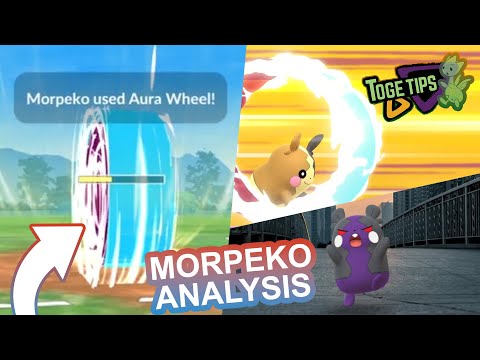 How Good is Morpeko? | Pokémon Go