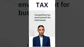 Denmark’s Tax System: Key Facts for Businesses