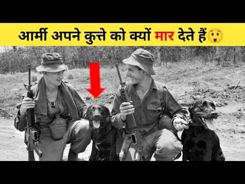 आर्मी अपने कुत्ते को क्यों मार देते हैं😲 | #shorts #armydog #ytshort