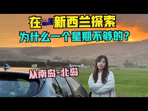 自驾🇳🇿新西兰#11:抵达南岛公路最南端，距离南极最近的小镇之一