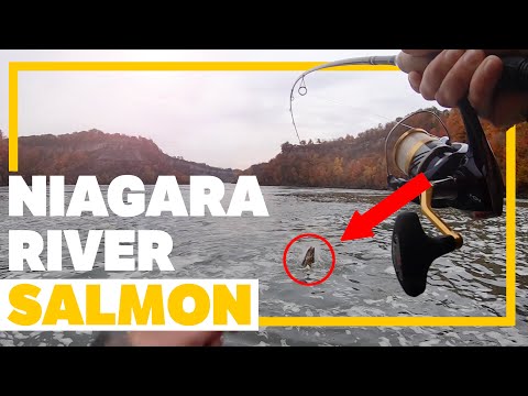 NIAGARA WHIRLPOOL SALMON FISHING