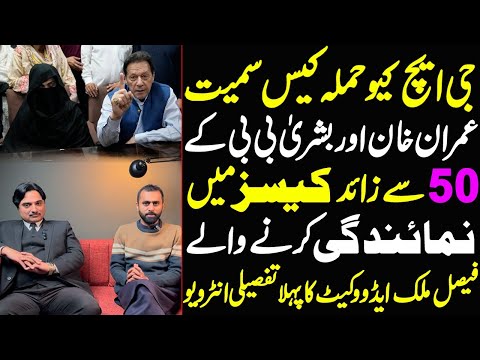 Interview with Faisal Malik Advocate, who represented Imran Khan & Bushra Bibi in more than 50 cases