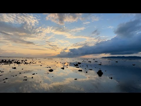 いきものアクセサリ作家が大好きな石垣島へ移住しました