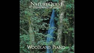 NatureQuest - Woodland Piano - Feather Rhythm