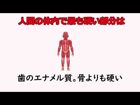 9割の人が知らない雑学30【明日の話のネタに】＃雑学　＃１分間