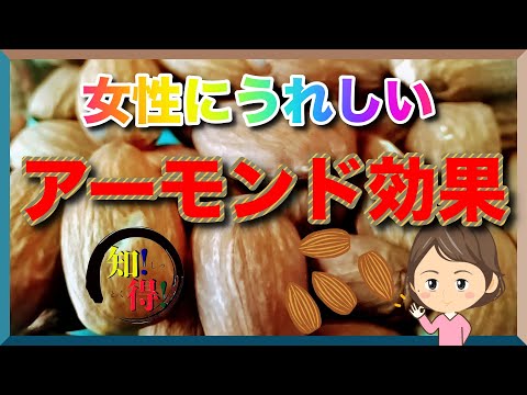 １日４粒アーモンドを食べるだけで体に起きる驚きの健康効果　◆知っ得◆雑学