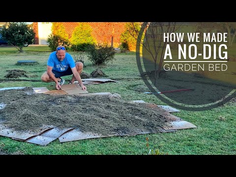 No-Dig Gardening: The Ultimate Zoysia Grass Experiment