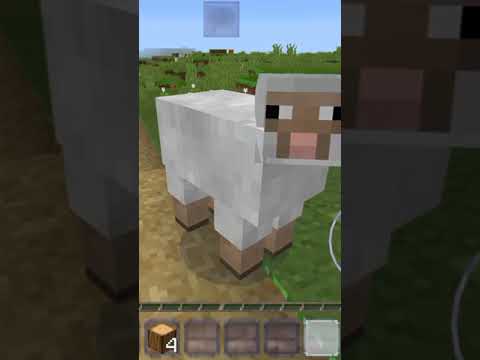 Minecraft #kidsgaming #shorts #kidsgames #kidsyoutuber #6yearsold #minecraft #minecraftshorts