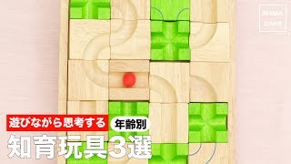 遊びながら思考する　知育玩具3選