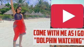 WANT TO GO DOLPHIN WATCHING???