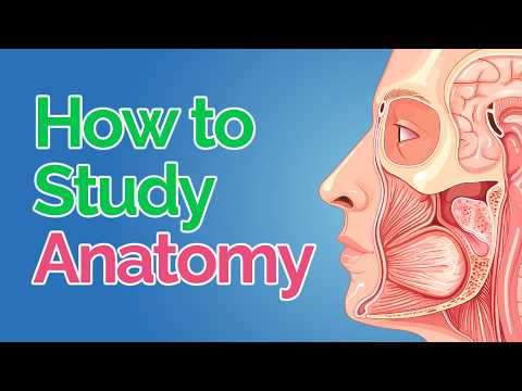 How to Study Anatomy in Med School 💀 5 Fool-Proof Steps