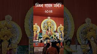 Simla byam somiti #durgapuja2024 #durgapujavlog #durgapujadiaries #kolkatapujo #pujo2024 #pujovibes