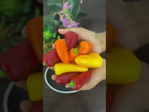 Colorful Baby Bell Peppers || Baby Capsicum || Colorful Capsicums #capsicum #bellpeppers