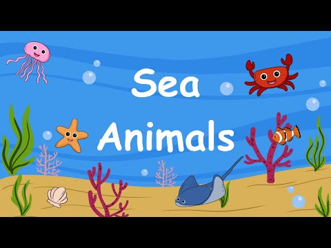 Sea Animal Names for Kids #viralvideo #kidssong #youtubekids #kidscartoon #seaanimals  #rhymes #kids