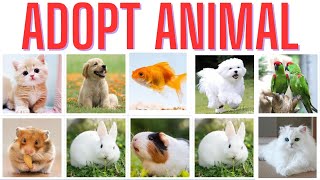 Choose Your New Best Friend: Adopting an Animal| Best friend||Pet Love| Adoptable Pets|Furry Friends