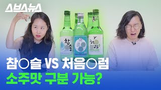 소주 블라인드 테스트 해봄ㅋ 참이슬, 처음처럼, 진로이즈백 맛이 다른 이유 / 스브스뉴스