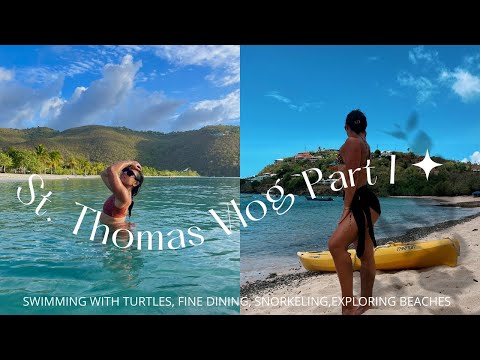 I swam with a sea turtle | USVI | St Thomas Travel Vlog | Lexaire